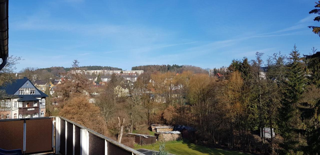 Ferienwohnungen Villa Goldbrunnen Bad Elster Exterior photo