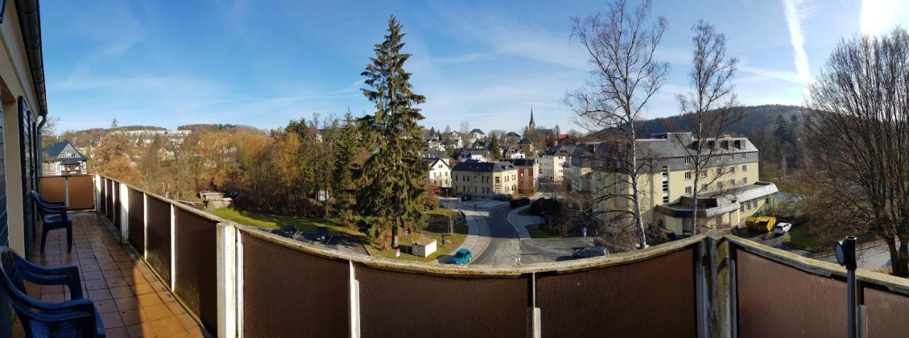 Ferienwohnungen Villa Goldbrunnen Bad Elster Exterior photo